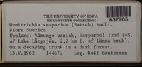 Image Associated With the Occurence